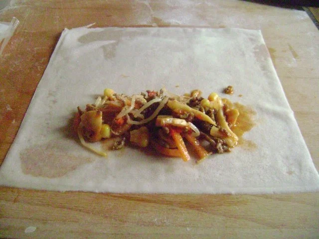 Party - China Röllchen - mit Hack Gemüsefüllung - Frühlingsrollen - Rezept - Bild Nr. 5