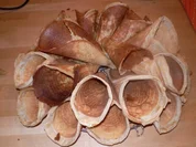 Zimthörnchen - Rezept