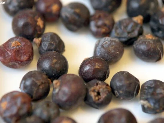 Würziger Schweinebauch - Rezept - Bild Nr. 2