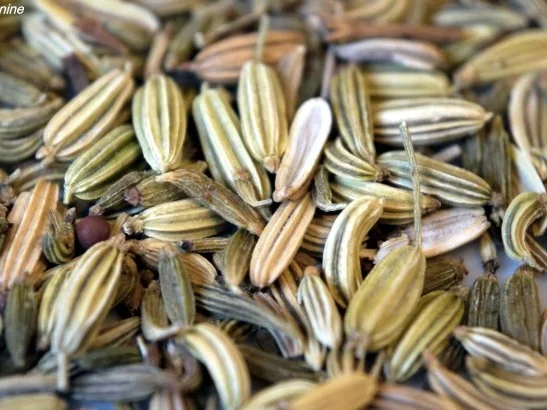 Würziger Schweinebauch - Rezept - Bild Nr. 4