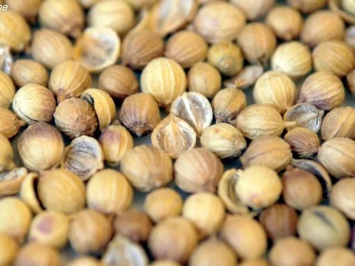 Würziger Schweinebauch - Rezept - Bild Nr. 5