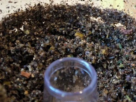 Würziger Schweinebauch - Rezept - Bild Nr. 11