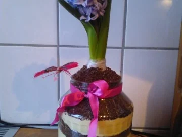 "Blumenerde" - Rezept - Bild Nr. 11