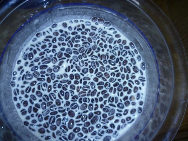 Weiße Kaffeemousse mit marinierter Grapefruit - Rezept - Bild Nr. 2