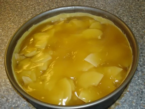 Apfelsaftkuchen - Rezept - Bild Nr. 6