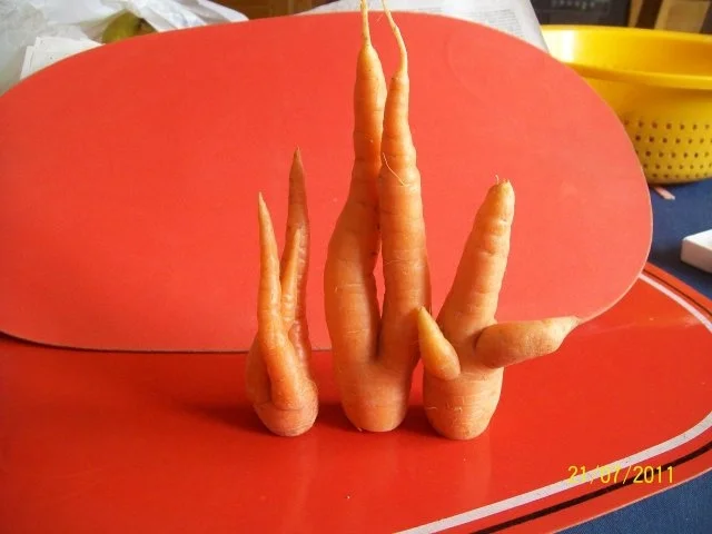 Gewürze: Gemüsebrühepulver - Rezept - Bild Nr. 4