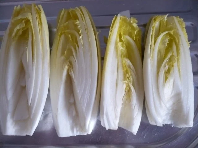 Rezept: Chicoree - Salat mit Lachs Bild Nr. 3 Chicoree - Salat mit Lachs - Rezept - Bild Nr. 3