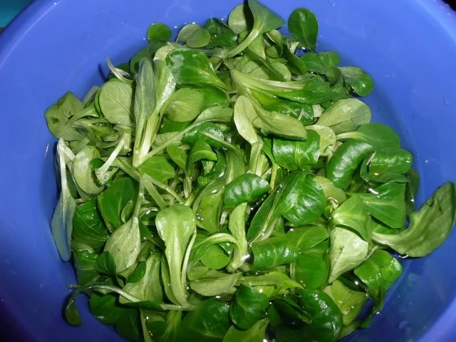 Fisch-tag ! - Rezept - Bild Nr. 6