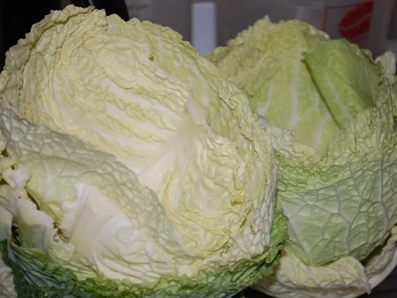 Rezept: Wirsing Rouladen auf meine Art Bild Nr. 4 Wirsing Rouladen auf meine Art - Rezept - Bild Nr. 4