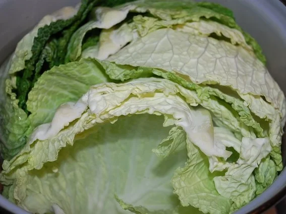 Rezept: Wirsing Rouladen auf meine Art Bild Nr. 5 Wirsing Rouladen auf meine Art - Rezept - Bild Nr. 5