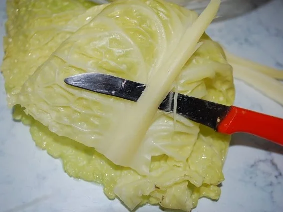 Rezept: Wirsing Rouladen auf meine Art Bild Nr. 11 Wirsing Rouladen auf meine Art - Rezept - Bild Nr. 11