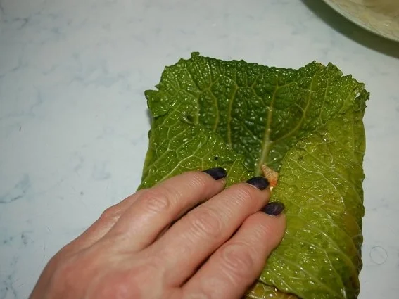 Rezept: Wirsing Rouladen auf meine Art Bild Nr. 15 Wirsing Rouladen auf meine Art - Rezept - Bild Nr. 15