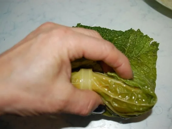 Rezept: Wirsing Rouladen auf meine Art Bild Nr. 16 Wirsing Rouladen auf meine Art - Rezept - Bild Nr. 16