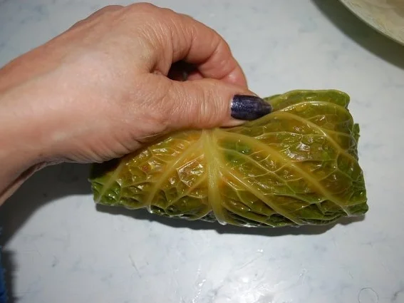 Rezept: Wirsing Rouladen auf meine Art Bild Nr. 17 Wirsing Rouladen auf meine Art - Rezept - Bild Nr. 17