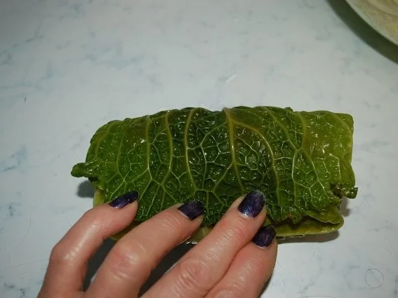 Rezept: Wirsing Rouladen auf meine Art Bild Nr. 19 Wirsing Rouladen auf meine Art - Rezept - Bild Nr. 19