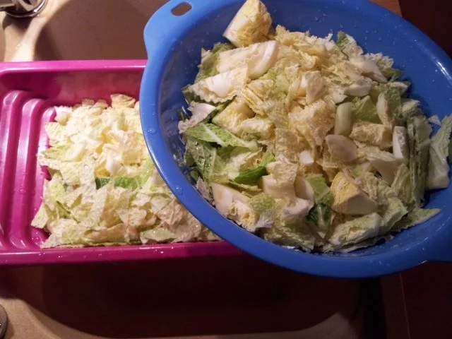 Schupfnudel-Wirsing-Gratin - Rezept - Bild Nr. 4