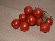 Wildlachs im Glasnudel-Mantel, auf weißer Tomatensauce - Rezept