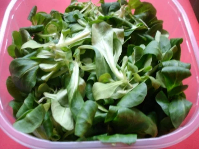 Lachsfilet mit Möhren-Kartoffelstampf und Feldsalat - Rezept - Bild Nr. 3