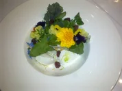 Sommerwiese: geeister Ziegenquark mit Wildkräutern und Blüten - Rezept