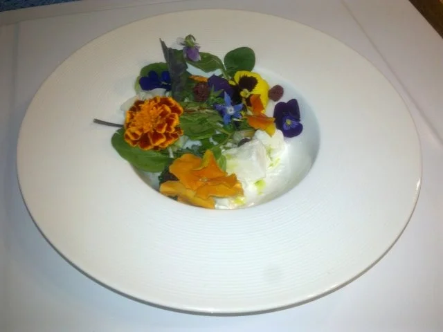 Sommerwiese: geeister Ziegenquark mit Wildkräutern und Blüten - Rezept - Bild Nr. 2