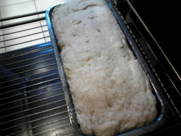 Brot + Brötchen: Deftiges 5-Sorten-Brot - Rezept - Bild Nr. 9