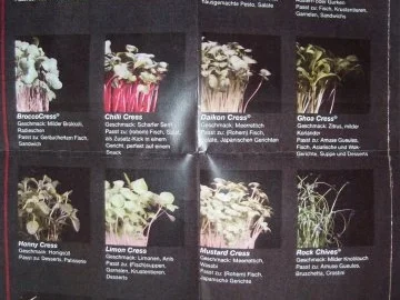 Kartoffelsalat 31. Dieter´s Art - Rezept - Bild Nr. 7