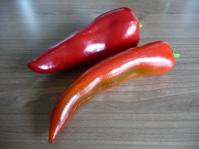 Fleischlos : Gemüse - Tofu - Grillspieße - Rezept - Bild Nr. 3