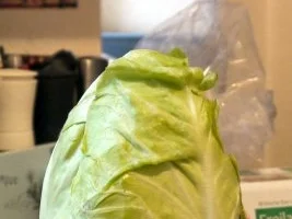 Spitzkohl-Ziegenkäse-Quiche - Rezept - Bild Nr. 4