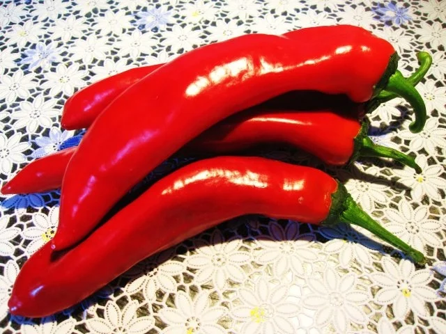 Spitzpaprika mit viel Knoblauch à la Monique ... - Rezept - Bild Nr. 3