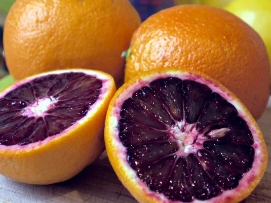 Rezept: Spaghetti "Bloody tomato" Bild Nr. 2 Spaghetti "Bloody tomato" - Rezept - Bild Nr. 2