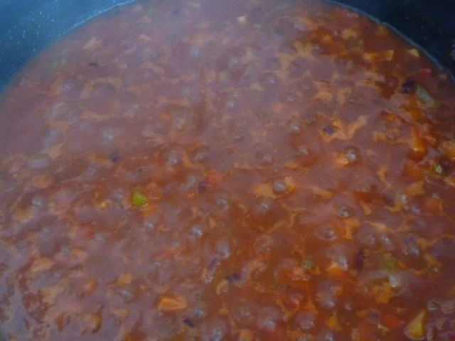 Rezept: Vegan : Eine Soße für Vieles Bild Nr. 18 Vegan : Eine Soße für Vieles - Rezept - Bild Nr. 18