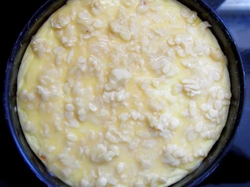 Rezept: Bienenstich-Käsekuchen Bild Nr. 8 Bienenstich-Käsekuchen - Rezept - Bild Nr. 8