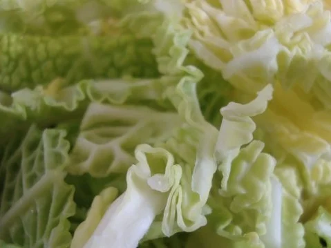 "Pitter und Jupp" - Rezept - Bild Nr. 6