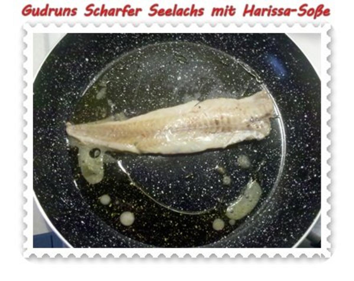 Fisch: Scharfer Seelachs mit Harissa-Soße - Rezept - Bild Nr. 7