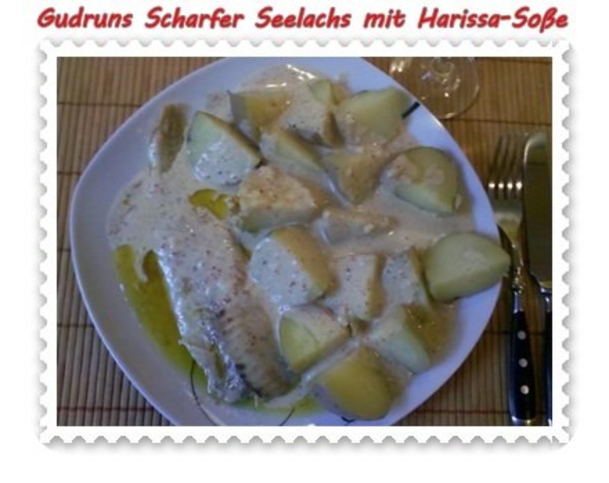 Fisch: Scharfer Seelachs mit Harissa-Soße - Rezept - Bild Nr. 11