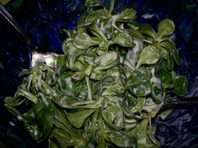 Graupenplätzchen mit Feldsalat - Rezept - Bild Nr. 6