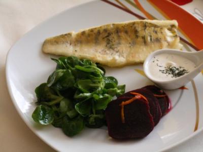 Gebratener Zander mit Feldsalat,roter Bete und Dillschmand - Rezept