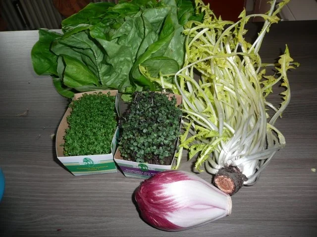 Zigeunerrollbraten , Wildreis ,  Frühlings - Salat - Rezept