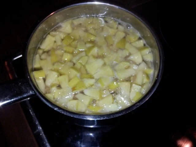 selbstgemachter Früchtetee - Rezept - Bild Nr. 2