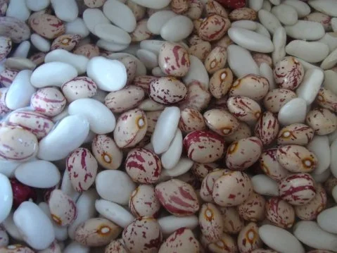 Party Bohneneintopf - Rezept - Bild Nr. 4