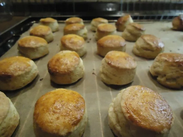 Petit pain de blé - Rezept - Bild Nr. 5