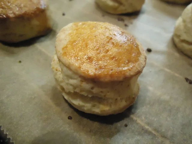 Petit pain de blé - Rezept - Bild Nr. 6