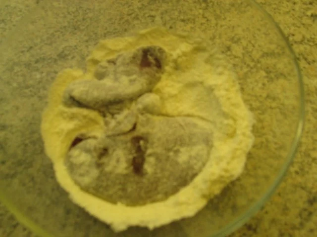 Rezept: Geflügel: Putenleberpfanne mit Tomaten - Paprika - Sahne Bild Nr. 5 Geflügel: Putenleberpfanne mit Tomaten - Paprika - Sahne - Rezept - Bild Nr. 5