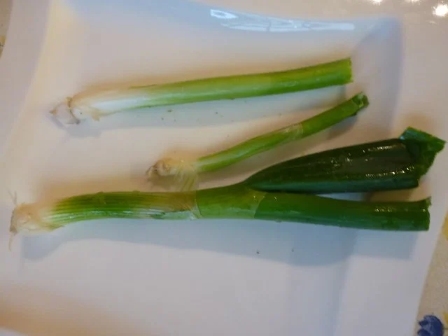 Niedrig gegarte würzige Krautfrikadellen - Rezept - Bild Nr. 4