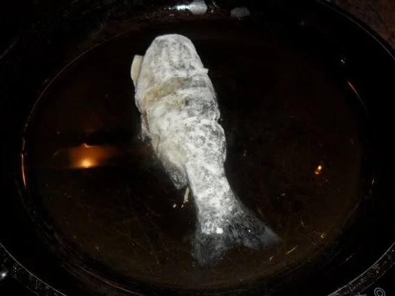 heisse forelle mit kalter soße - Rezept - Bild Nr. 4