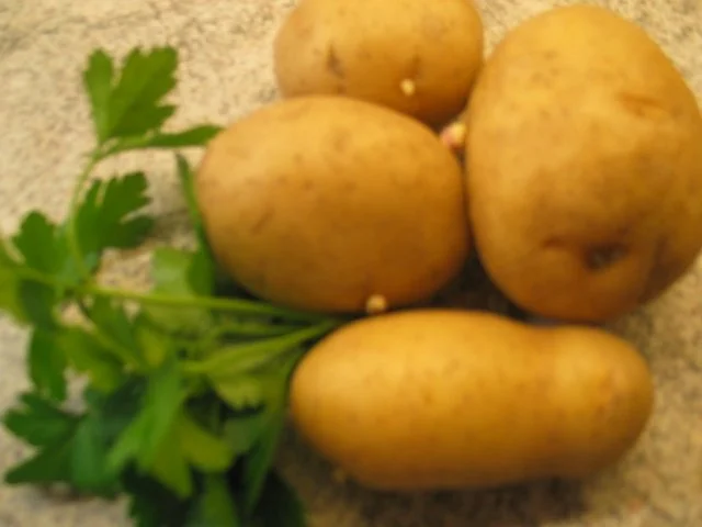 Rezept: Fisch: Winterkabeljau-Filet in Käse-Knusper-Kruste Bild Nr. 8 Fisch: Winterkabeljau-Filet in Käse-Knusper-Kruste - Rezept - Bild Nr. 8