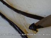 Vanille Pudding  --  BASICS - Rezept