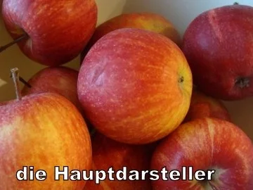 Rezept: Apfel-Streuselkuchen Bild Nr. 8 Apfel-Streuselkuchen - Rezept - Bild Nr. 8