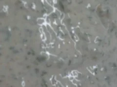 Rezept: Joghurt-Senf-Dip Joghurt-Senf-Dip - Rezept