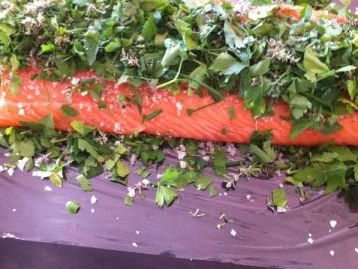 Gebeitzter Lachs mit Kräuter - Rezept - Bild Nr. 3